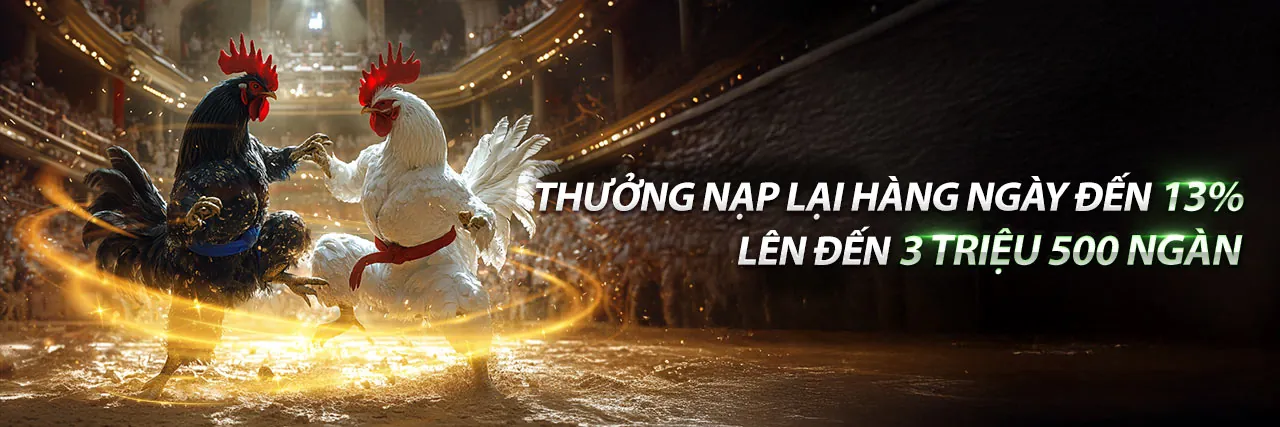 Đá gà trực tuyến 9win login với trận đấu kịch tính