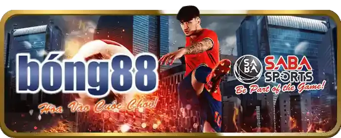 Sân bóng rổ với quả bóng và lưới.